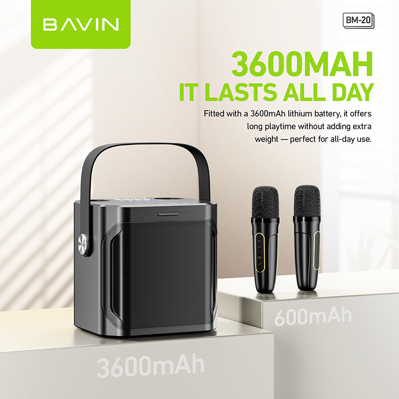 BAVIN BM20 karaoke speaker – photo 2